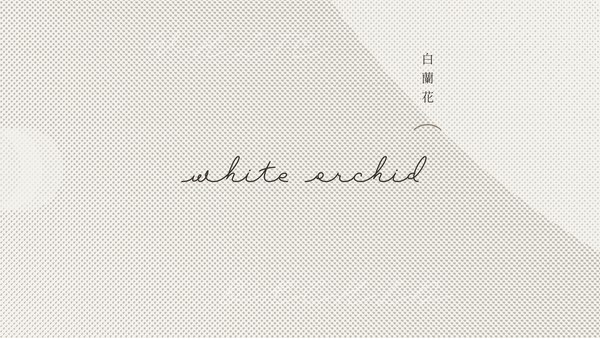 White Orchid 白蘭花