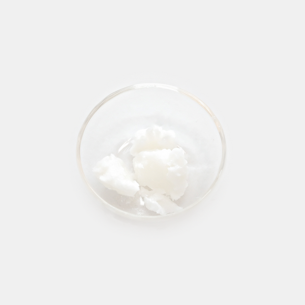 有機精鍊乳木果脂 ╵ Organic Refined Shea Butter 