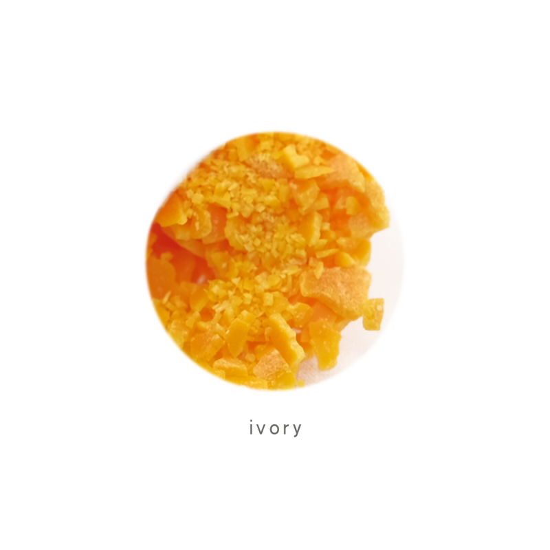 Ivory アイボリー ╱ 顏料